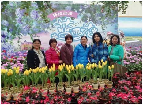 赏金女王(中国官方)最新IOS/安卓版/手机版APP下载