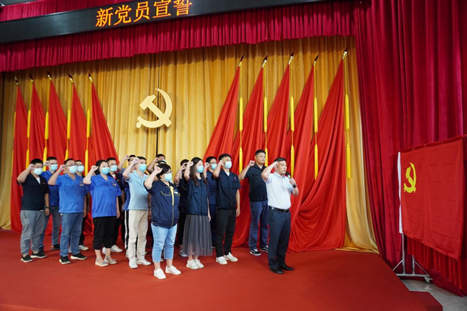 赏金女王(中国官方)最新IOS/安卓版/手机版APP下载