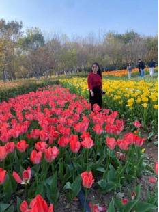 赏金女王(中国官方)最新IOS/安卓版/手机版APP下载